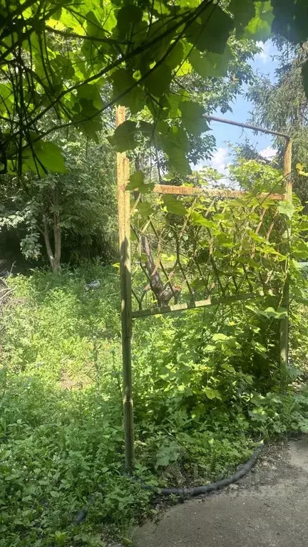 Дом в Оренбургская область, Оренбургский район, пос. Пригородный ул. ... - Фото 2