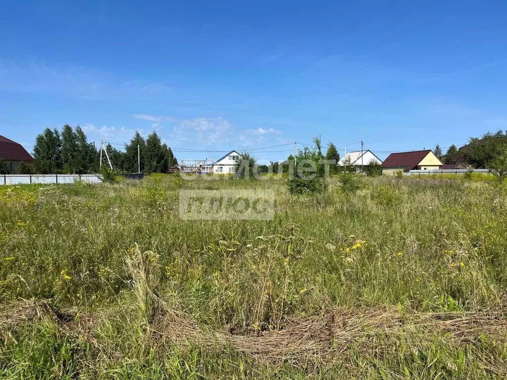 Участок в Омская область, Таврическое рп ул. Российская (15.0 сот.) - Фото 1