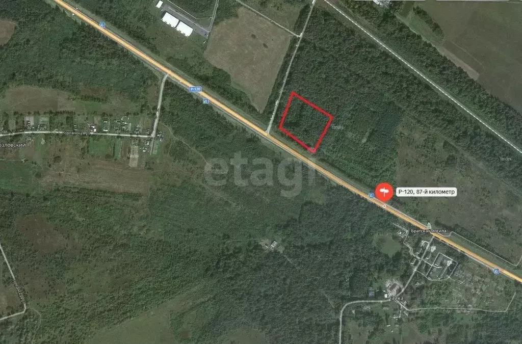 Участок в Брянская область, Карачевское городское поселение Р-120, ... - Фото 2