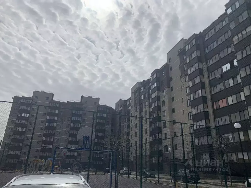 1-к кв. Белгородская область, Белгородский район, Дубовское с/пос, ... - Фото 1