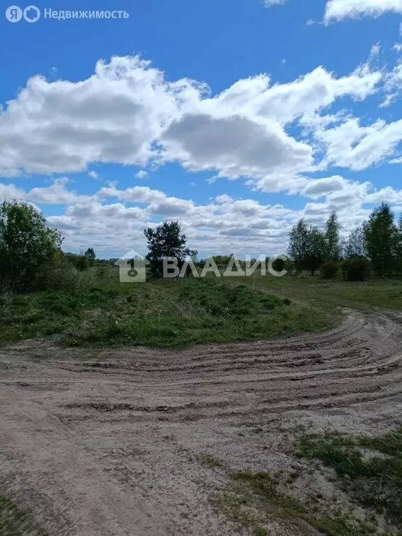 Участок в Ковровский район, муниципальное образование Малыгинское, ... - Фото 0