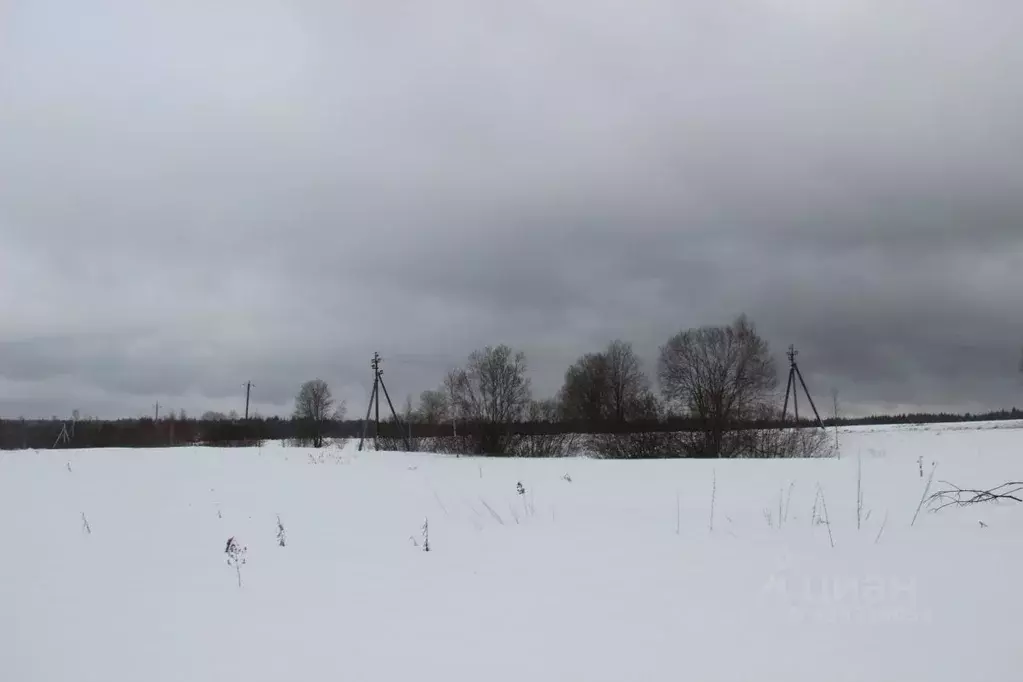 Участок в Московская область, Шаховская муниципальный округ, д. ... - Фото 2