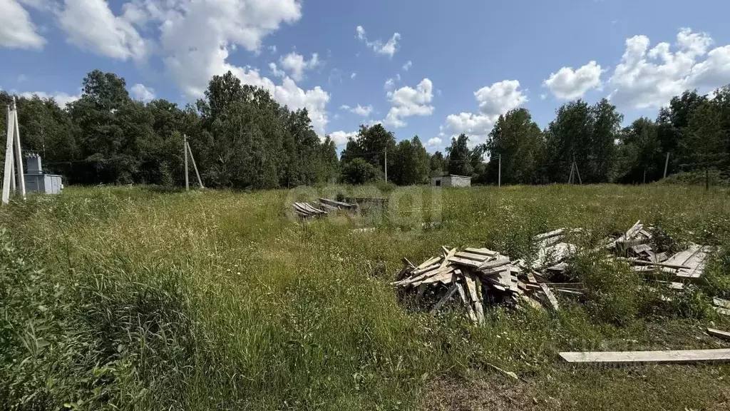 Участок в Новосибирская область, Мошковский район, Барлакский ... - Фото 1