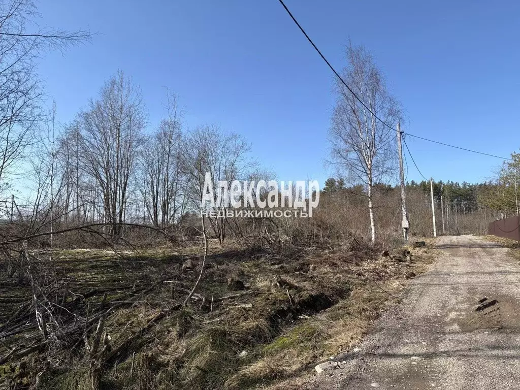 Участок в Ленинградская область, Приозерский район, Плодовское с/пос, ... - Фото 1