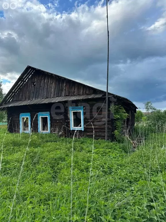 Участок в посёлок станции Чайковская, Луговая улица (16 м) - Фото 2