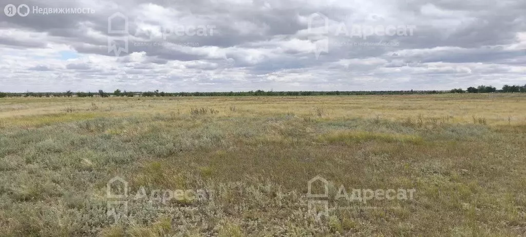 Участок в Волгоград, территория село Песчанка, Кофейная улица (8.25 м) - Фото 1