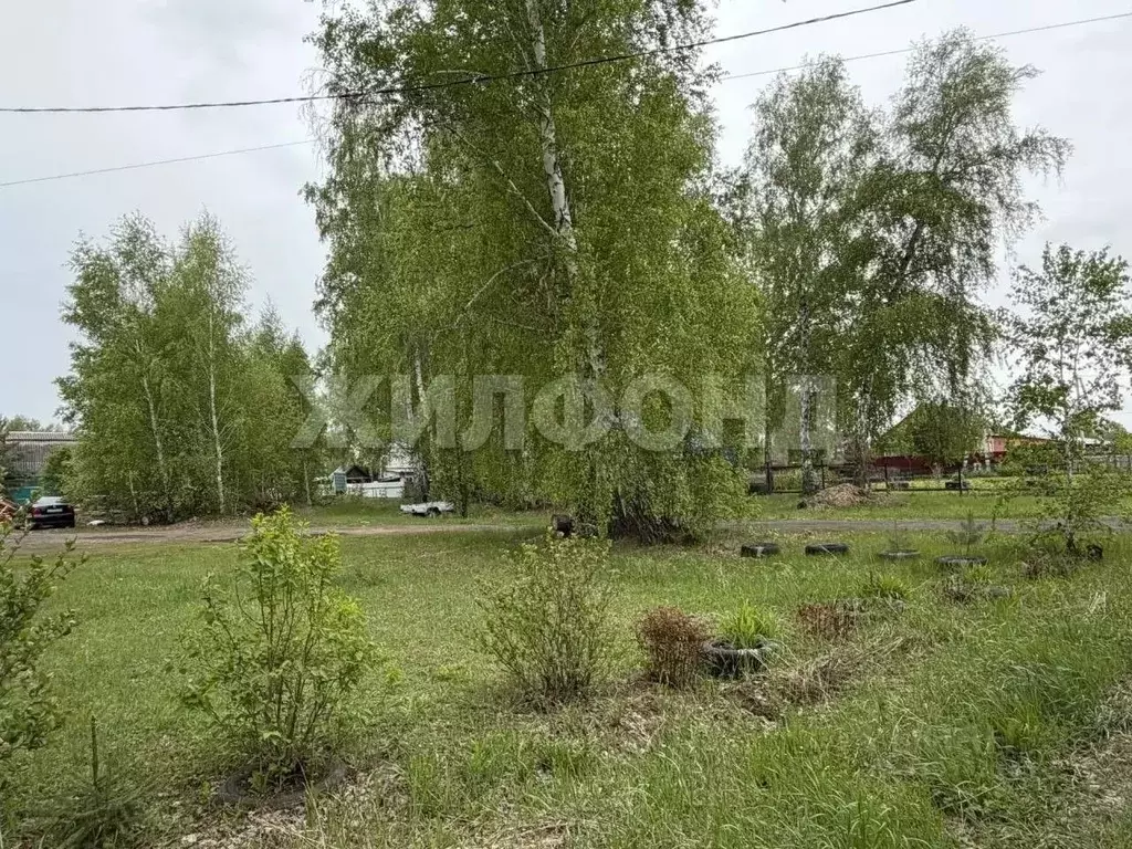 Участок в Новосибирская область, Ордынское рп, Рябинка СНТ ул. Зеленая ... - Фото 2