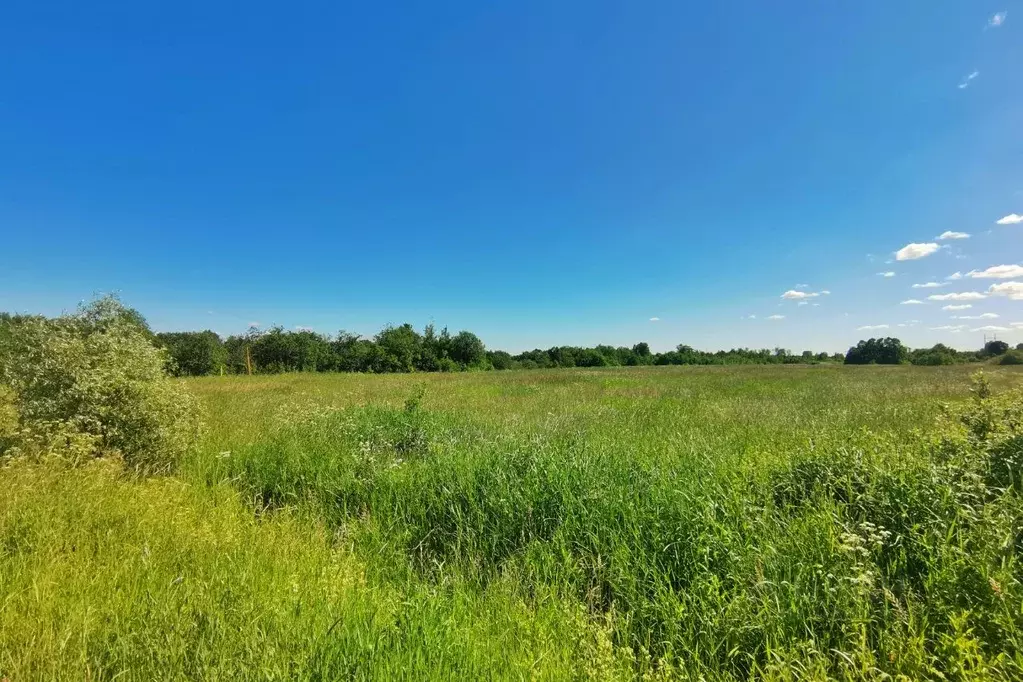 Участок в Новгородская область, Новгородский район, д. Витка  (4.75 ... - Фото 0