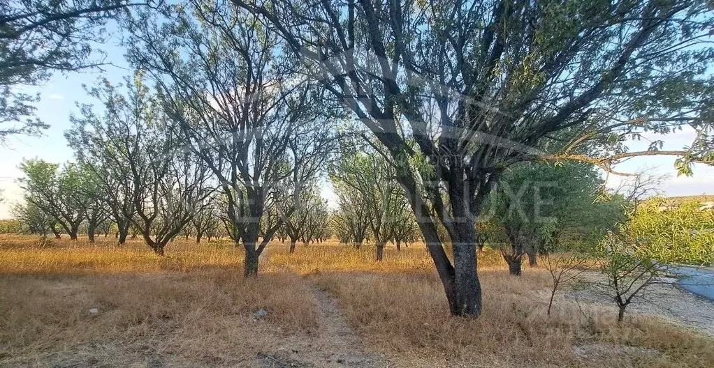Участок в Севастополь Строитель-1 садовое товарищество, 71 (6.32 сот.) - Фото 1