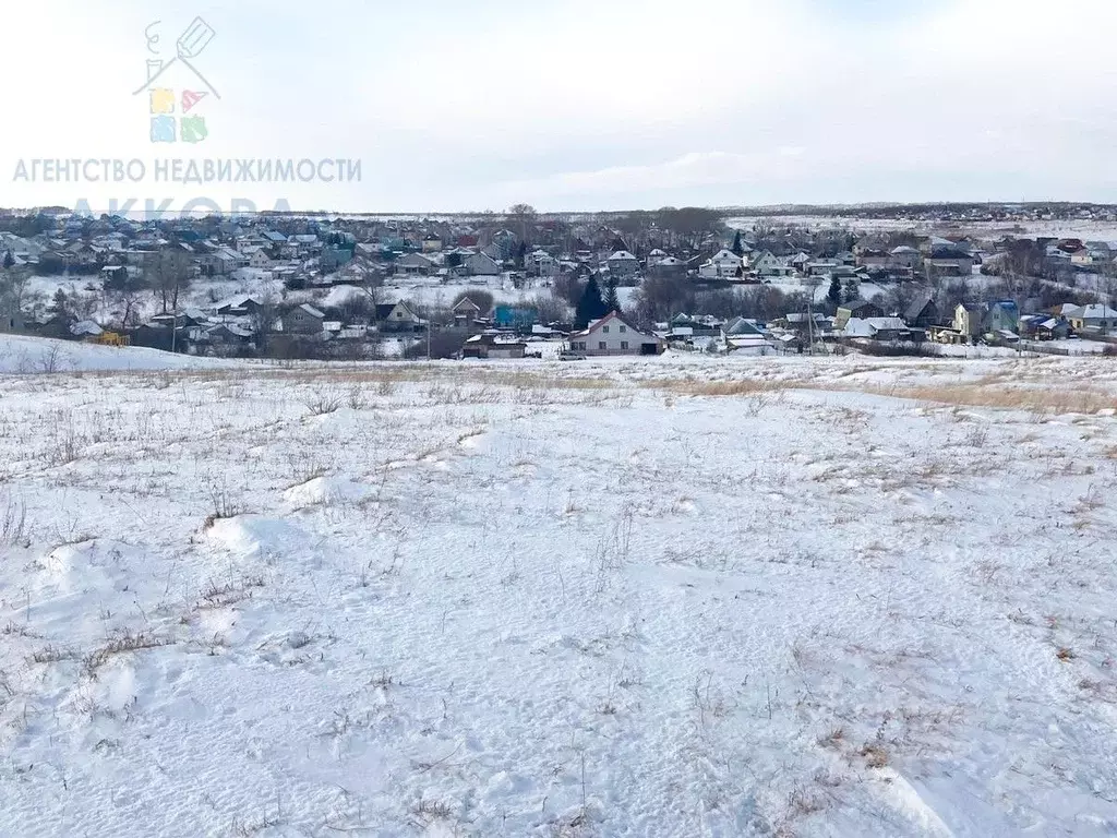 Участок в Алтайский край, Барнаул муниципальное образование, Поселок ... - Фото 0