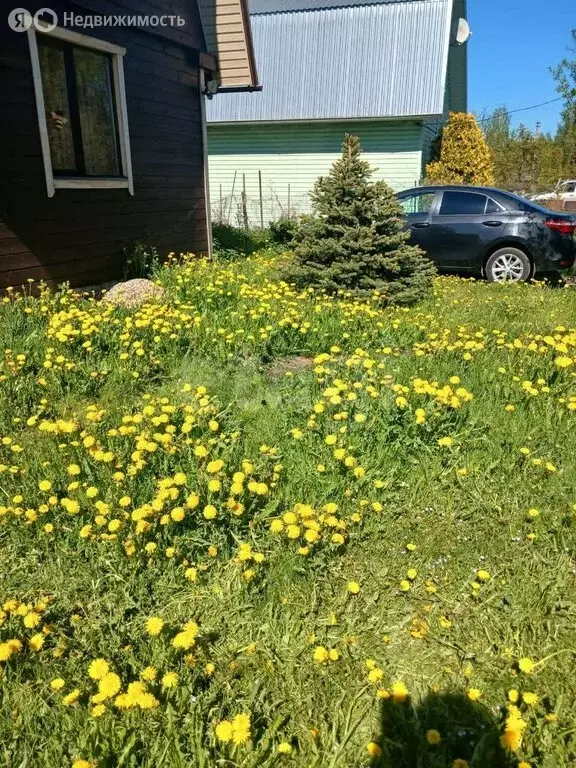 Дом в Ярославский муниципальный округ, садоводческое некоммерческое ... - Фото 1