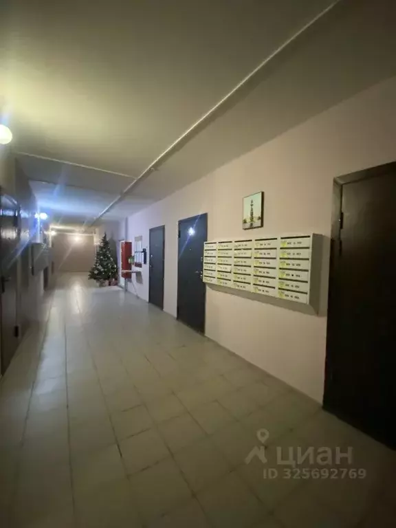 Студия Новосибирская область, Новосибирск Первомайская ул., 230 (24.3 ... - Фото 2