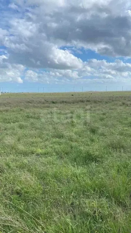 Участок в Крым, Сакский район, с. Суворовское  (34.16 сот.) - Фото 1