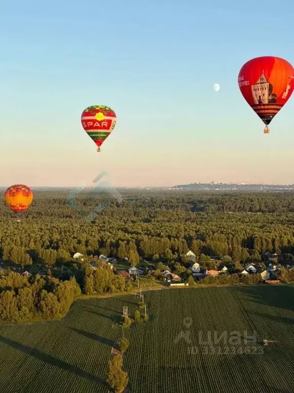 Участок в Нижегородская область, Бор муниципальный округ, д. Крутец ... - Фото 1