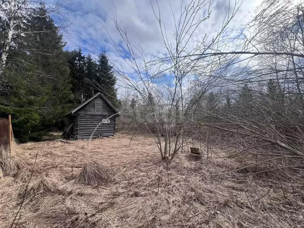 Участок в Кисельнинское сельское поселение, садоводческий массив ... - Фото 2