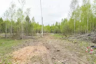 Участок в Тобольск, микрорайон Защитино (8 м) - Фото 0