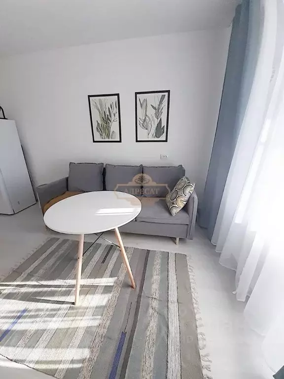 Студия Санкт-Петербург ул. Бориса Шмелева, 5 (27.0 м) - Фото 2