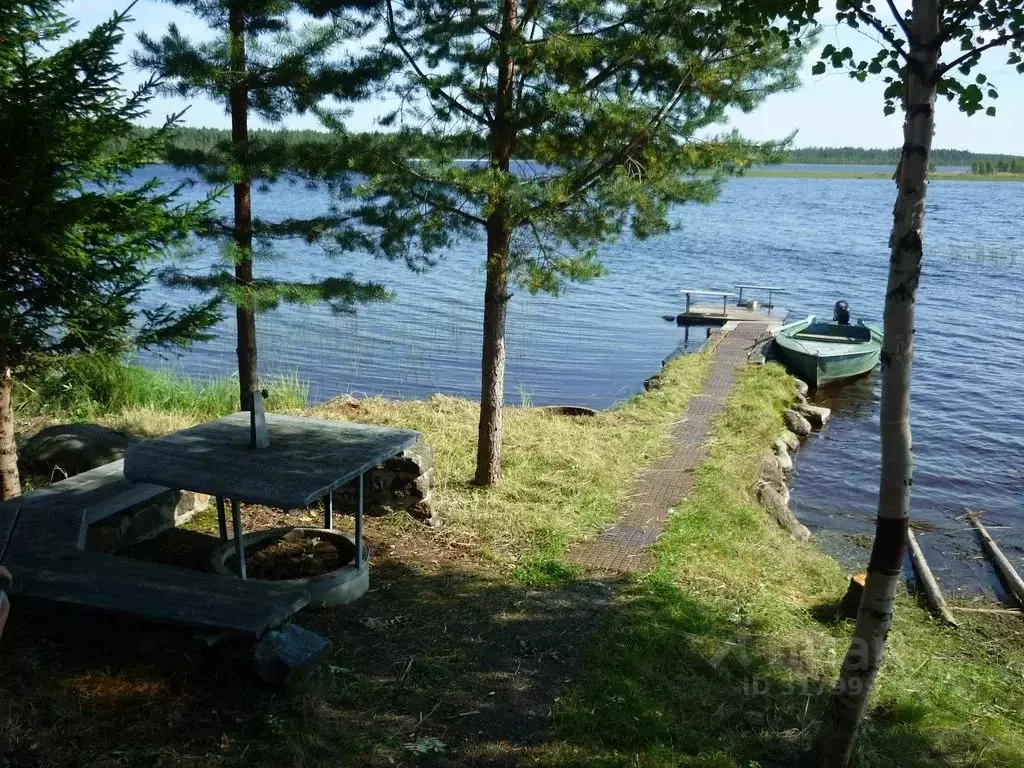 Дом в Карелия, Сегежский муниципальный округ, Каменка садоводческое ... - Фото 0