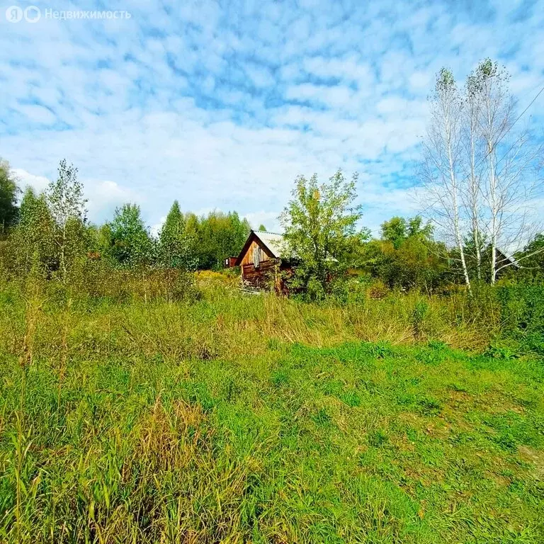 Участок в Барышевский сельсовет, садоводческое некоммерческое ... - Фото 1