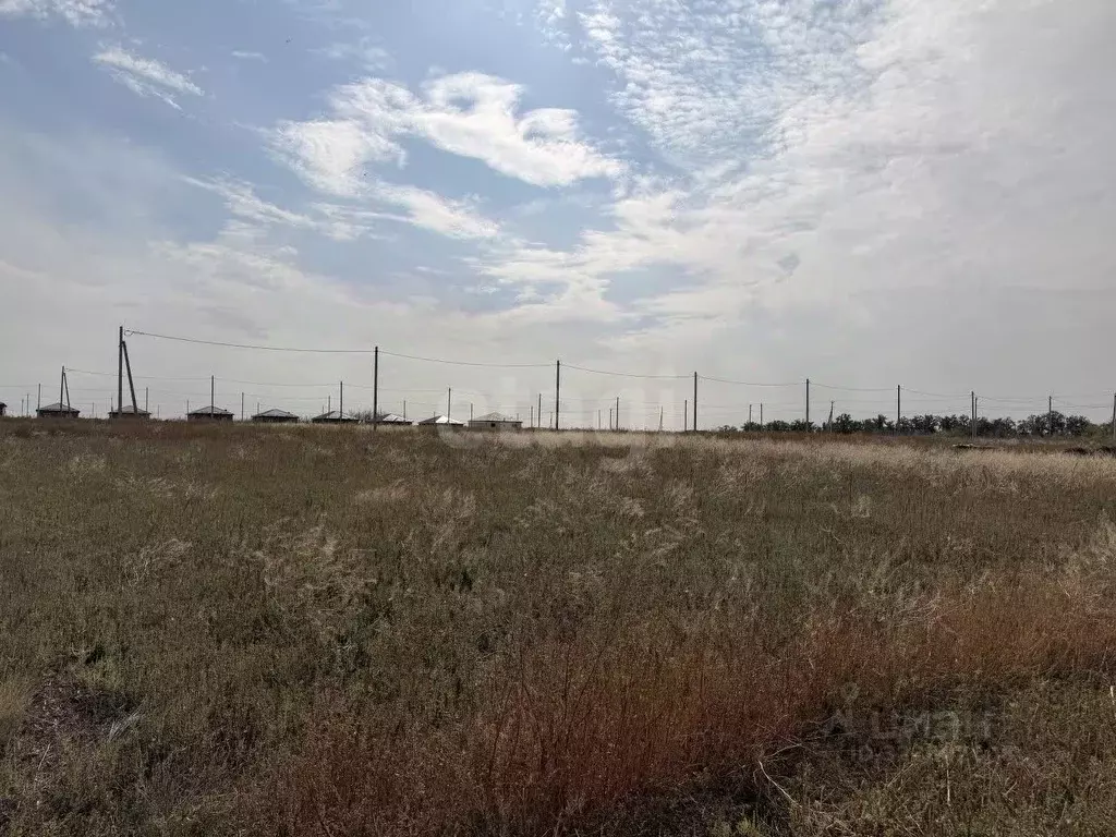 Участок в Ростовская область, Мясниковский район, с. Большие Салы ул. ... - Фото 1