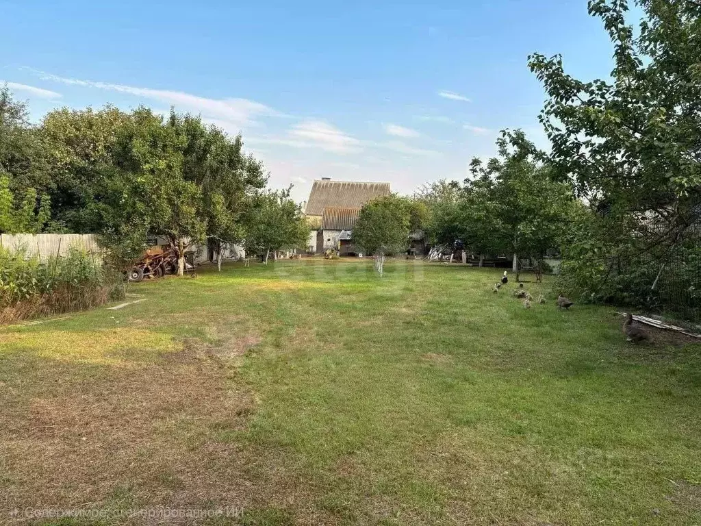 Участок в Воронежская область, Семилуки Южный мкр, ул. Васильковая ... - Фото 1