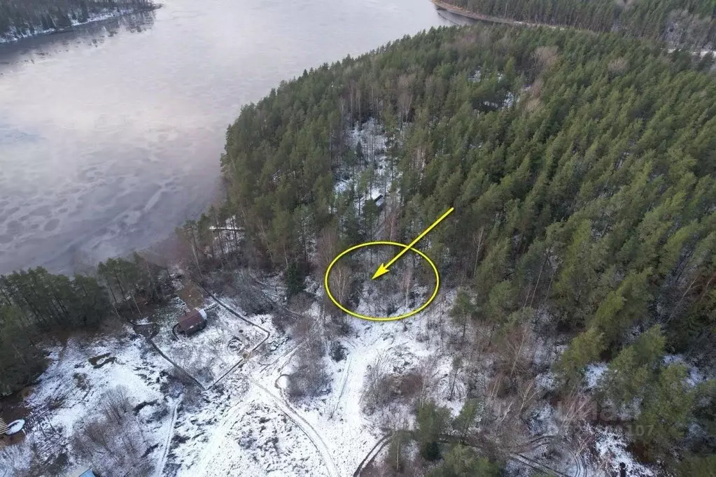 Участок в Карелия, Лахденпохский муниципальный округ, пос. Терваярви ... - Фото 1