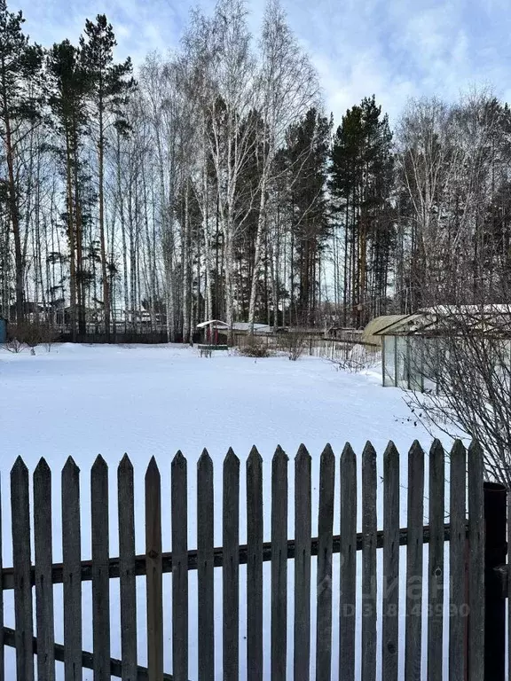 Участок в Тюменская область, Тюмень Автомобилист СНТ, ул. Сливовая, 16 ... - Фото 1