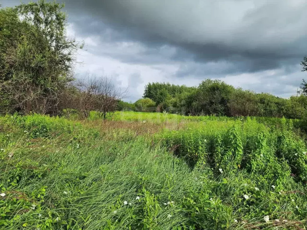 Участок в Калининградская область, Багратионовский муниципальный ... - Фото 2
