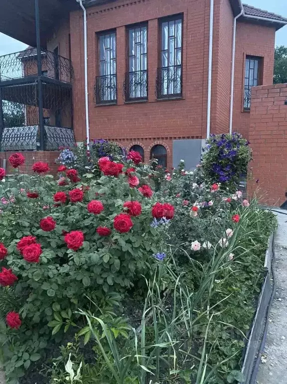 Дом в Тамбовская область, Тамбов Трудовая ул., 94 (273 м) - Фото 2