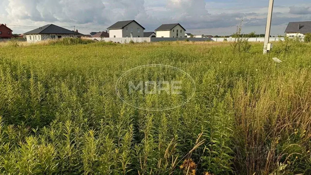 Участок в Калининградская область, Гурьевский муниципальный округ, ... - Фото 0