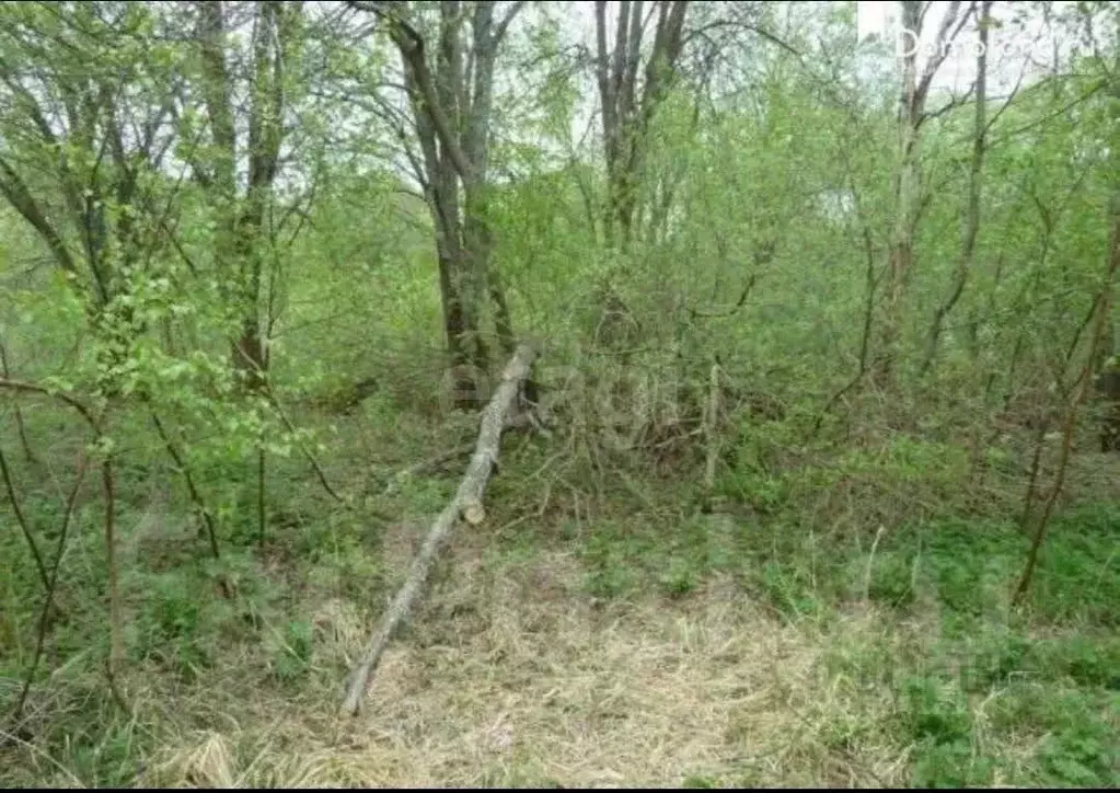 Участок в Воронежская область, Семилукский район, Губаревское с/пос, ... - Фото 1