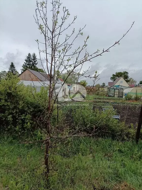 Дом в Новосибирская область, Новосибирск Дружба садовое товарищество, ... - Фото 1