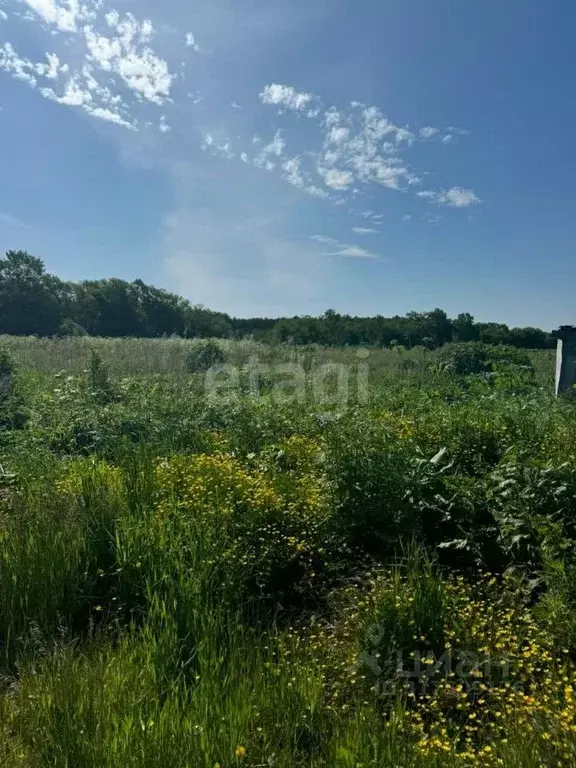 Участок в Сахалинская область, Анивский городской округ, с. ... - Фото 0