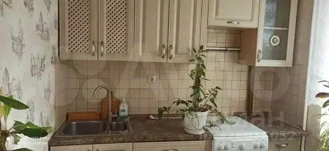 1-к кв. Ставропольский край, Ставрополь №31 мкр, просп. Ворошилова, 5А ... - Фото 1