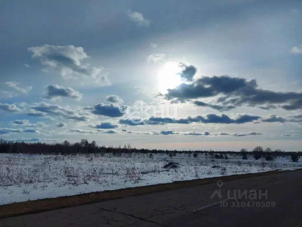 Участок в Нижегородская область, Дальнеконстантиновский муниципальный ... - Фото 0