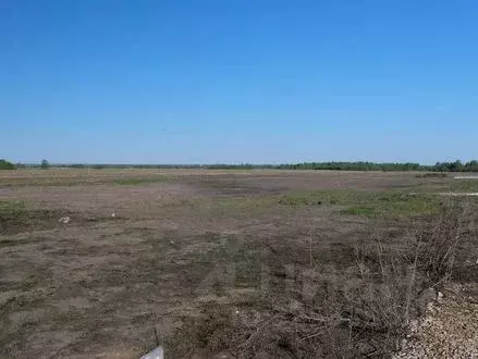 Участок в Татарстан, Лаишевский район, Столбищенское с/пос, с. ... - Фото 1