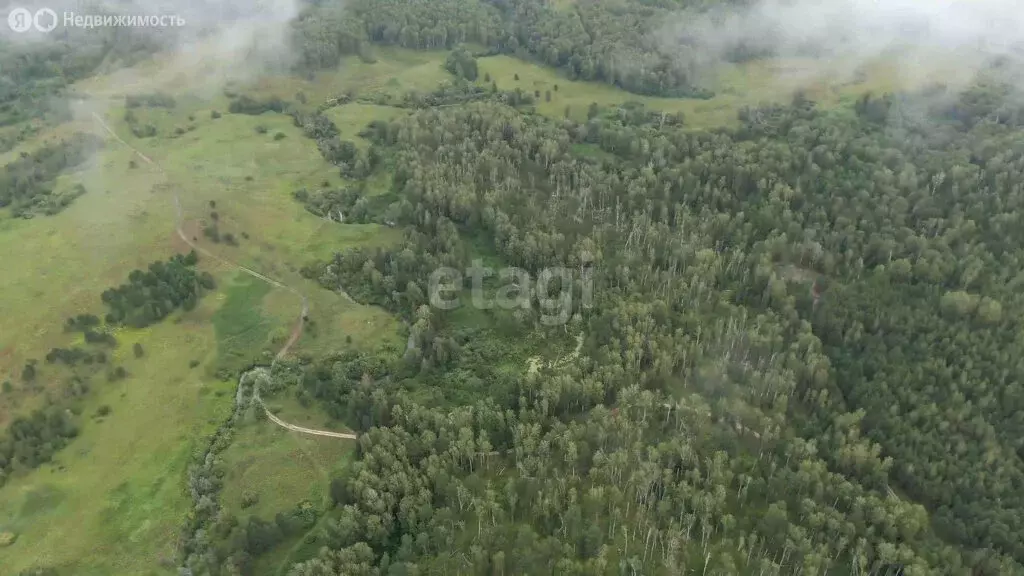 Участок в Мошковский район, село Сокур (10 м) - Фото 1