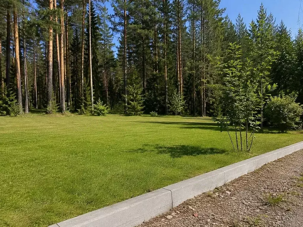 Участок в Московская область, Клин городской округ, д. Матвеево  (25.0 ... - Фото 1