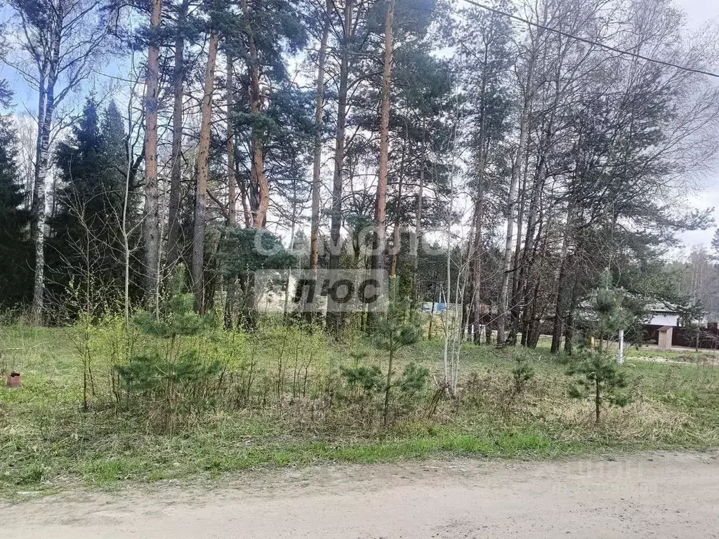 Участок в Московская область, Щелково городской округ, Залесье-1 кв-л  ... - Фото 1
