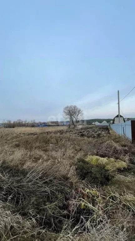 Участок в Курская область, Курский район, Моковский сельсовет, д. 2-я ... - Фото 0