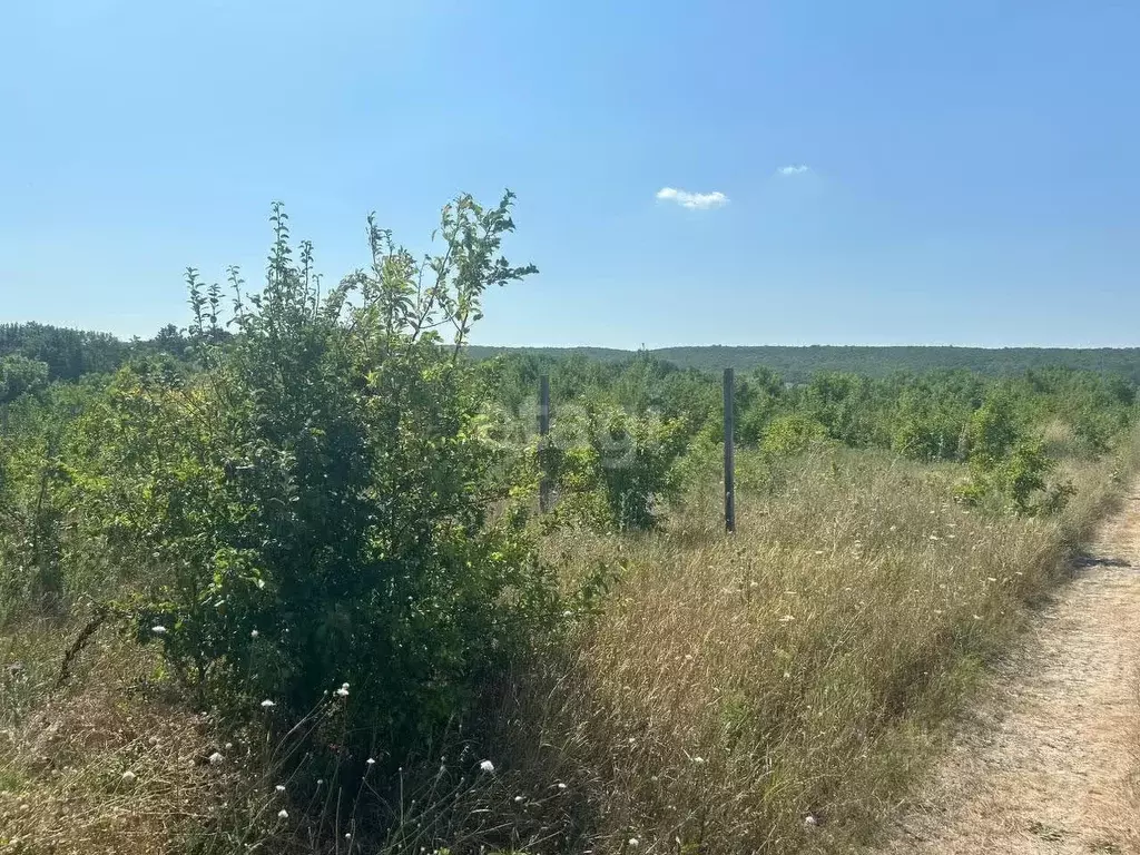 Участок в Краснодарский край, Новороссийск муниципальное образование, ... - Фото 0