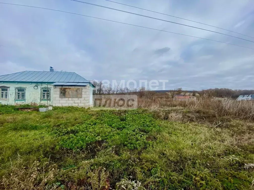 Дом в Воронежская область, Хохольское городское поселение, с. Еманча ... - Фото 1