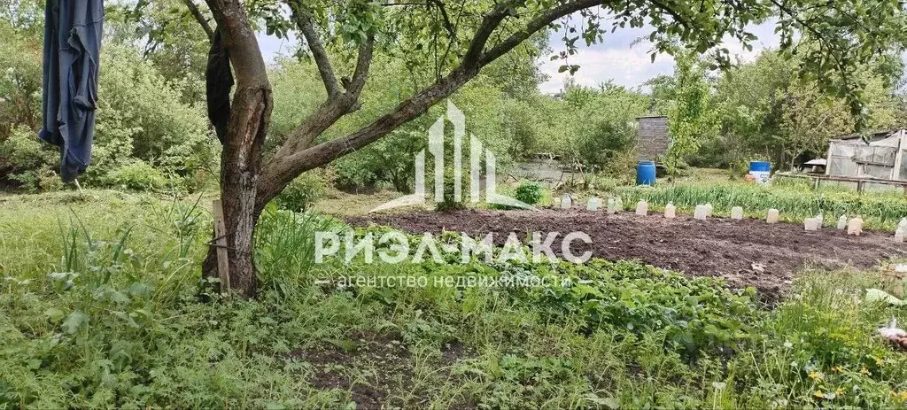 Участок в Брянская область, Брянск СО Мечта тер., ул. Заречная (5.3 ... - Фото 1