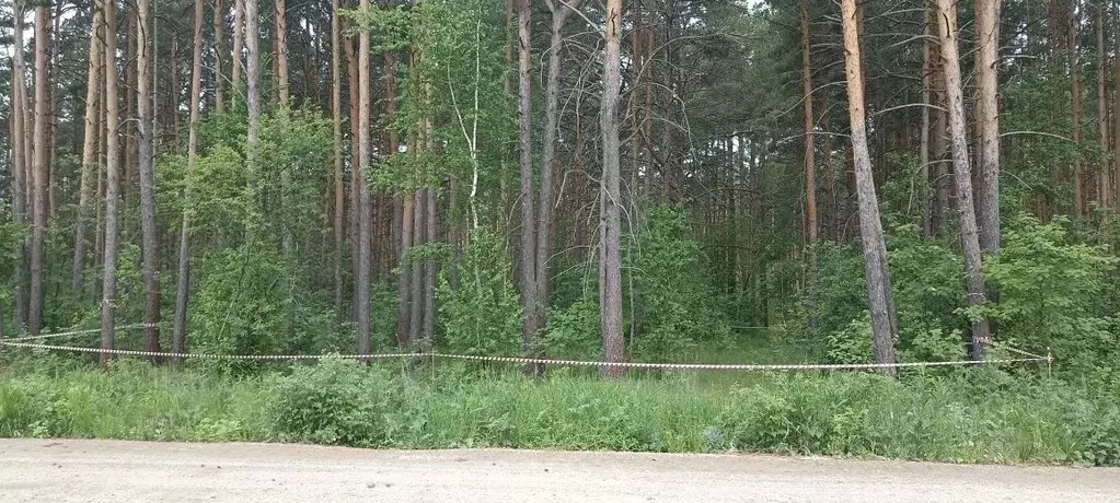 Участок в Свердловская область, Сысертский муниципальный округ, д. ... - Фото 2