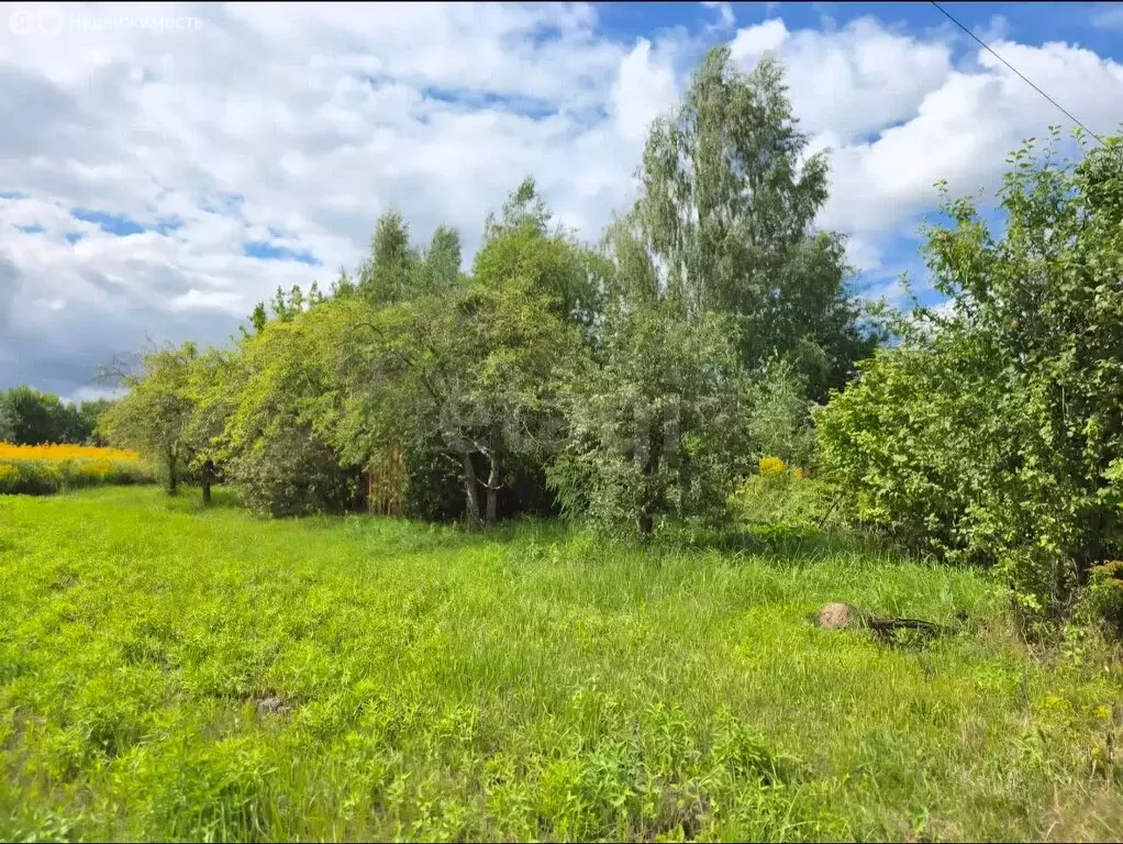 Участок в Толмачево, СДТ Здоровье (5.3 м) - Фото 1