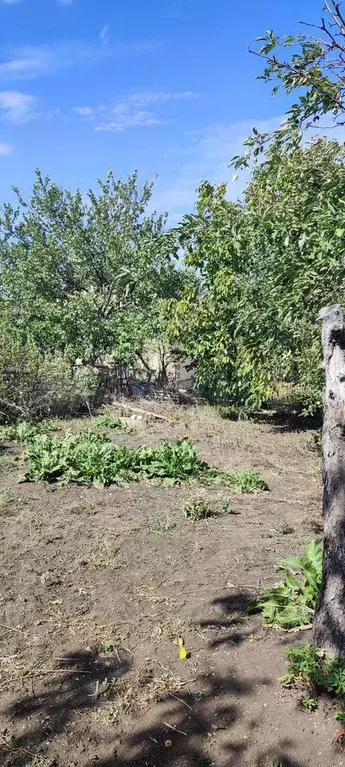 Дача 15 м на участке 4,5 сот. - Фото 1