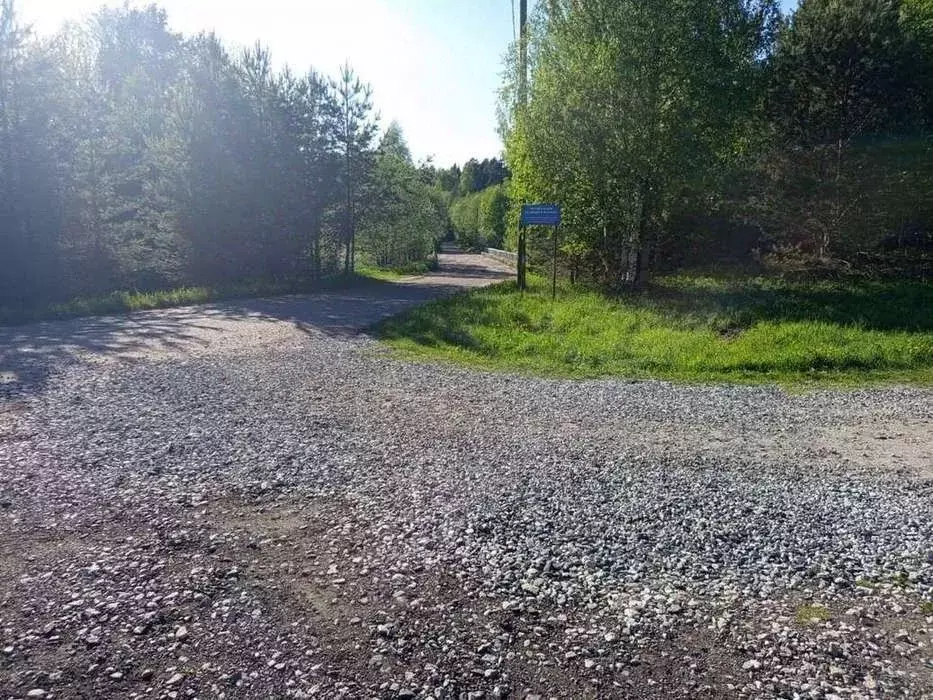 Участок в Кировская область, Куменский район, Нижнеивкинское городское ... - Фото 1