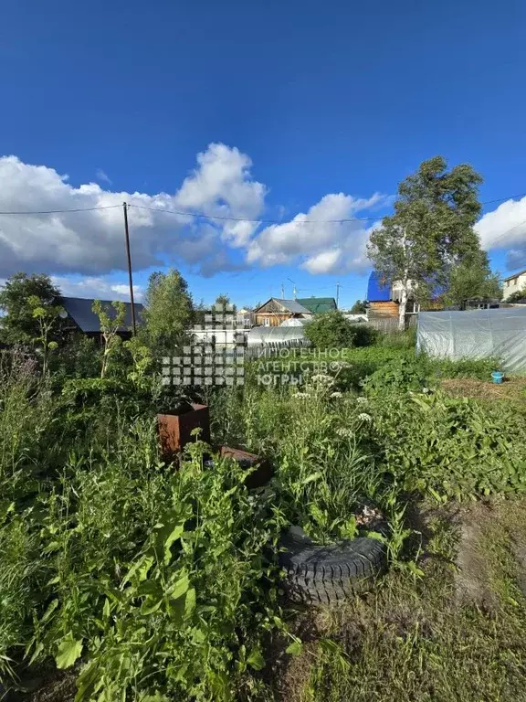 Участок в Ханты-Мансийский АО, Ханты-Мансийск пос. Овоще-Молочный ... - Фото 1