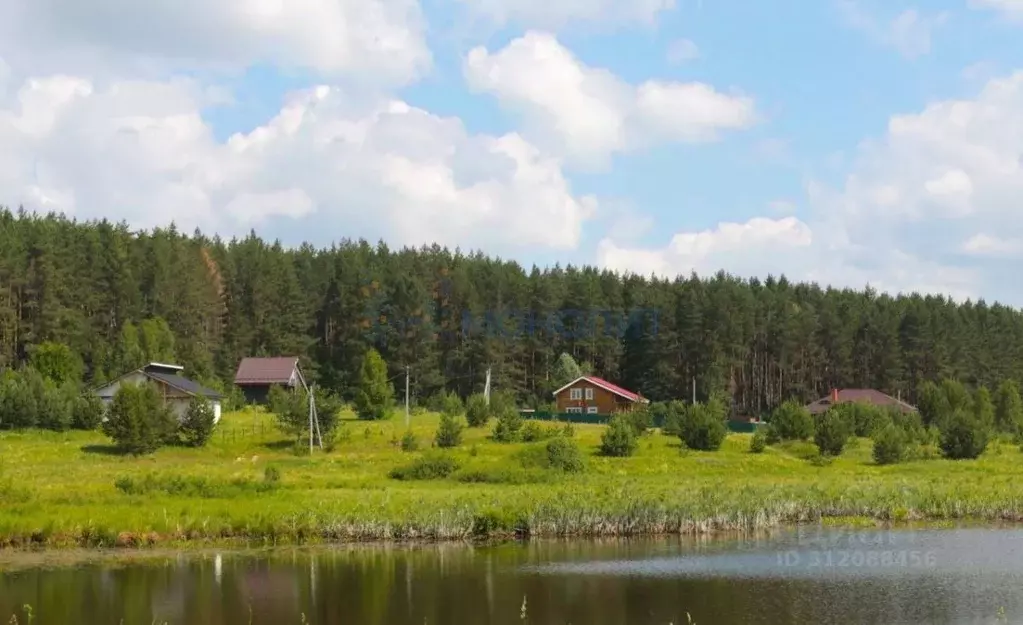 Участок в Нижегородская область, Богородский муниципальный округ, д. ... - Фото 0