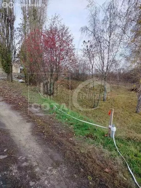 Участок в Отрадное, Нагорная улица, 31/1 (5.5 м) - Фото 1